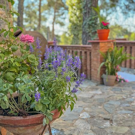 Semiramis Boutique Hotel & Spa Kato Platres Εξωτερικό φωτογραφία