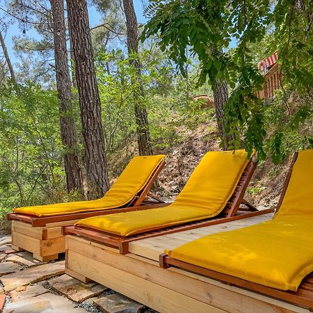 Semiramis Boutique Hotel & Spa Kato Platres Εξωτερικό φωτογραφία