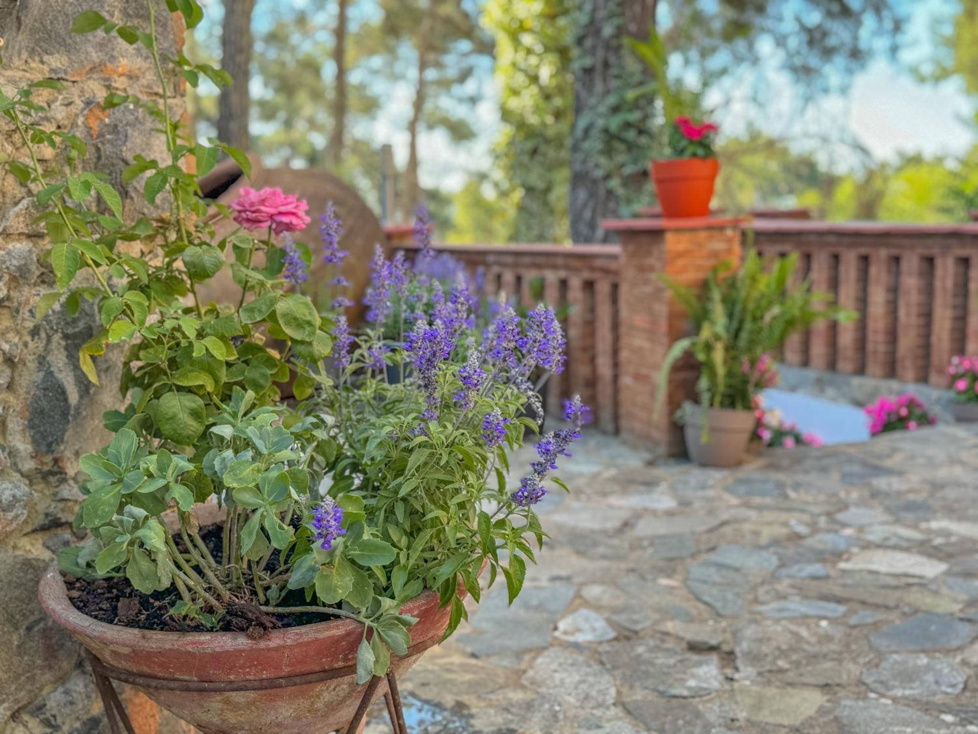 Semiramis Boutique Hotel & Spa Kato Platres Εξωτερικό φωτογραφία